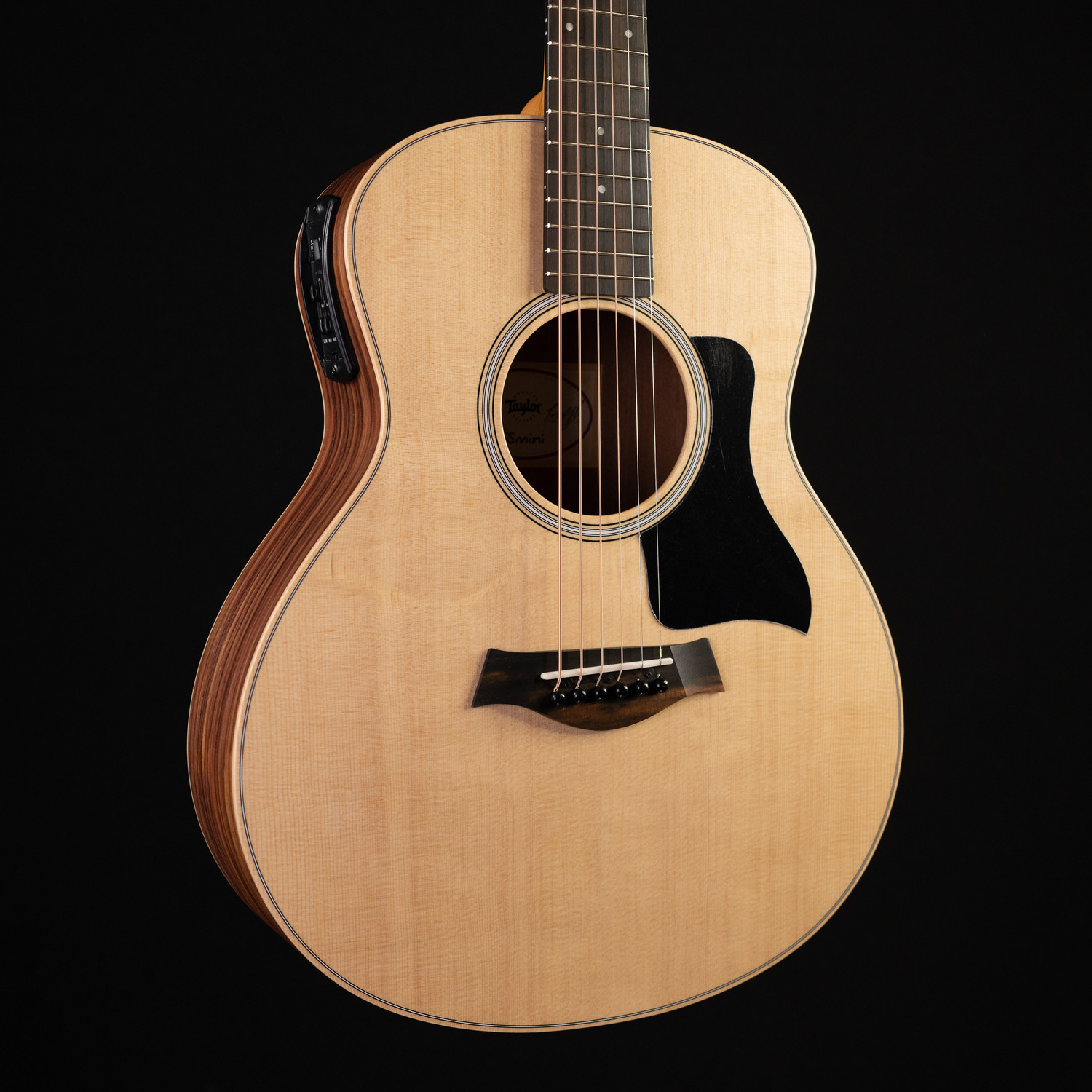 新品で購入して Taylor GS Mini-e Rosewood - 楽器/器材