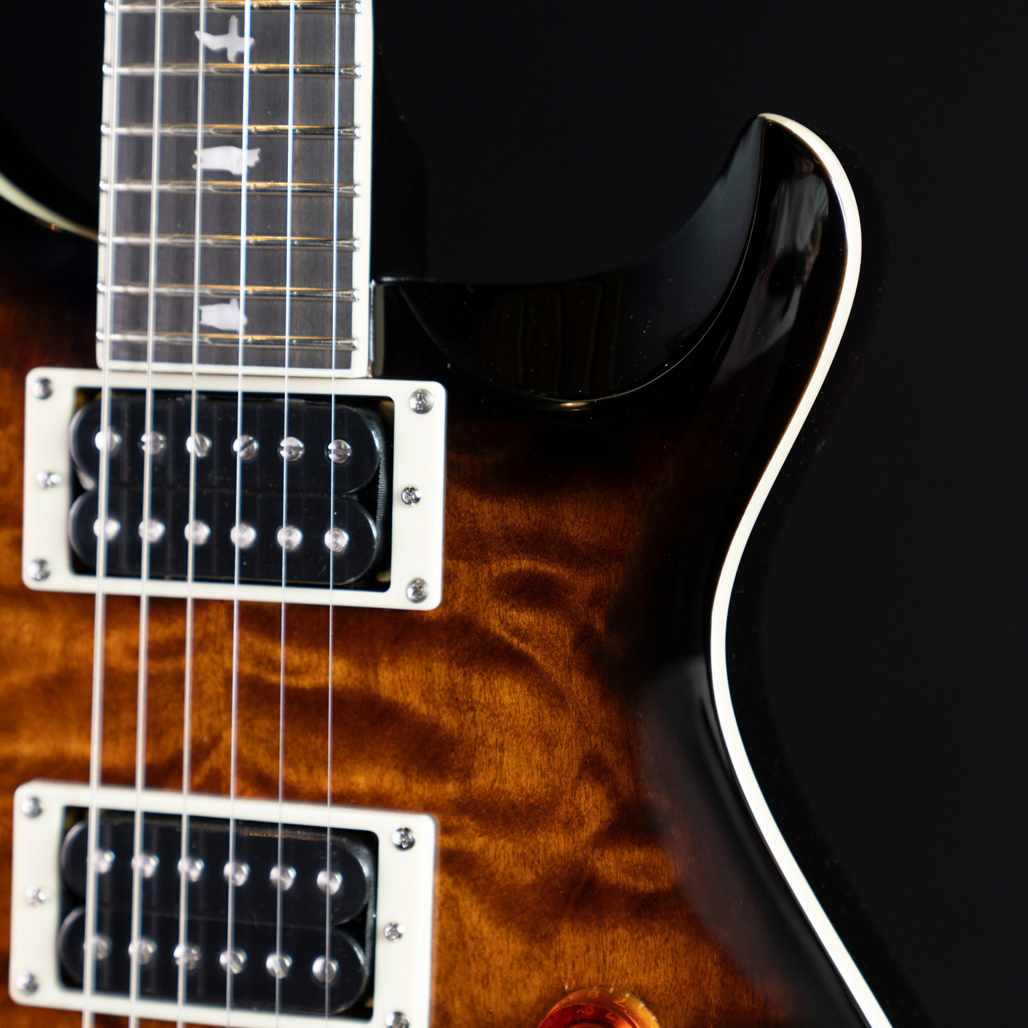 PRS SE custom24 （管理ヒカ） - acadcr.com