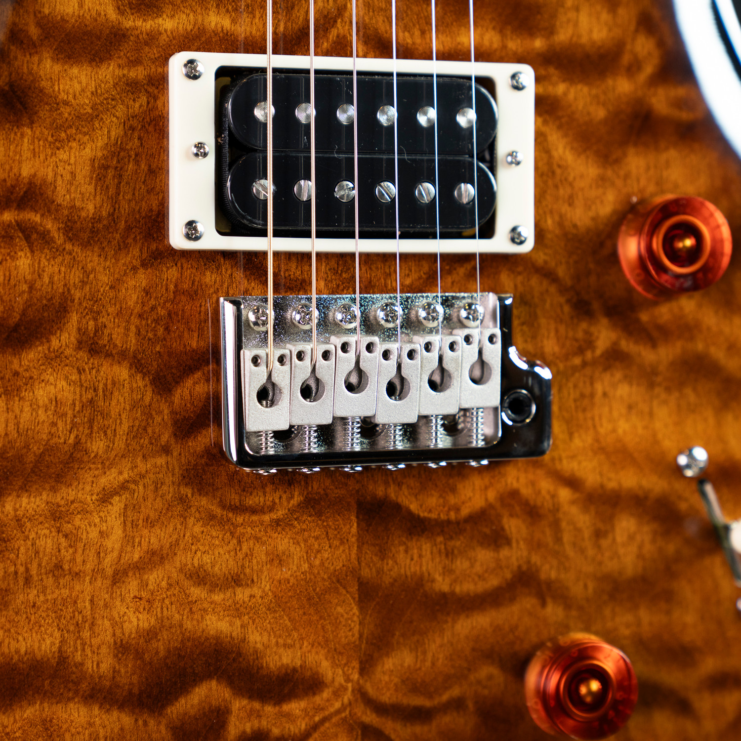 PRS SE custom24 （管理ヒカ） - acadcr.com