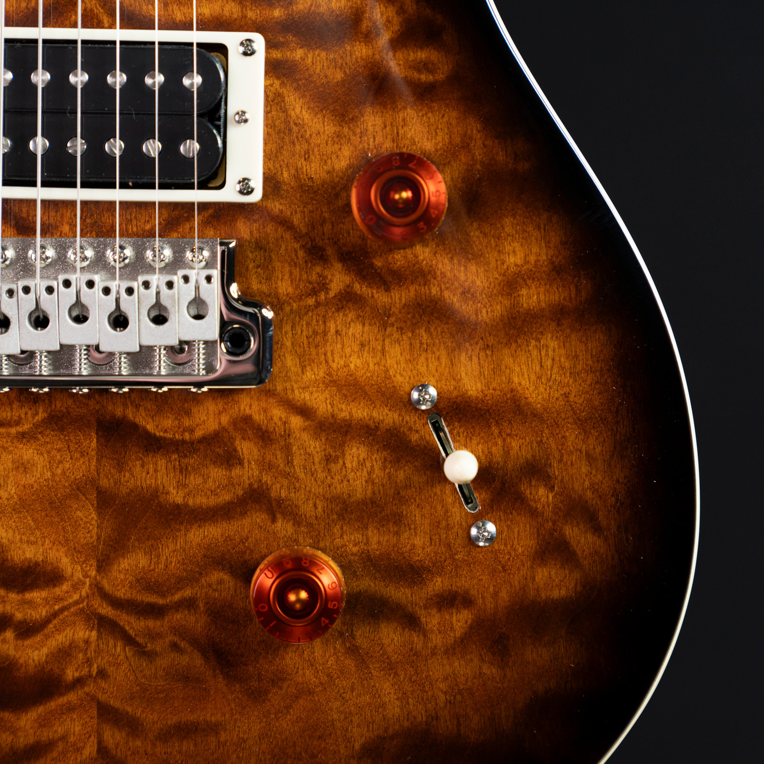 PRS SE custom24 （管理ヒカ） - acadcr.com