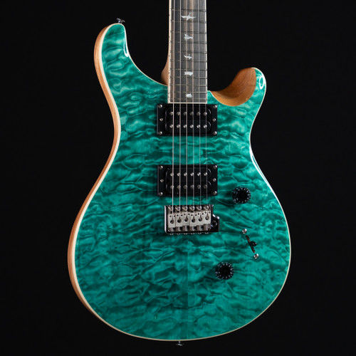 最低価格の PRS / SE Custom 24 エレキギター - thewildharesaloon.net