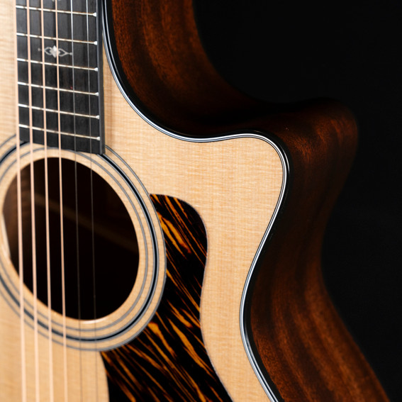 Taylor 314ce Grand Auditorium V-Class - Natural Taylor 314ce Grand Auditorium V-Class - Natural