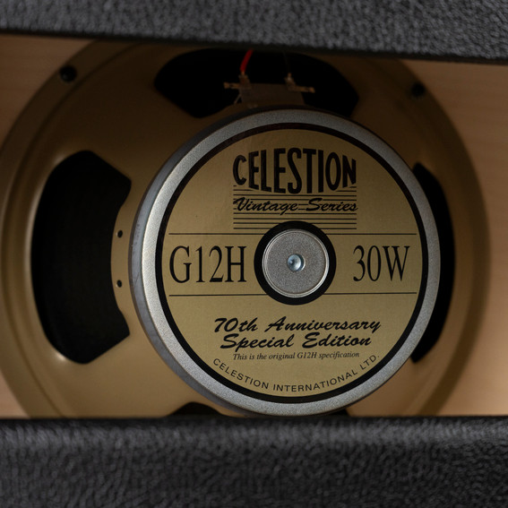 Divided By 13 1x12" Speaker Cabinet Divided By 13 1x12" Speaker Cabinet