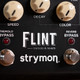 Strymon Flint Reverb & Tremolo Pedal