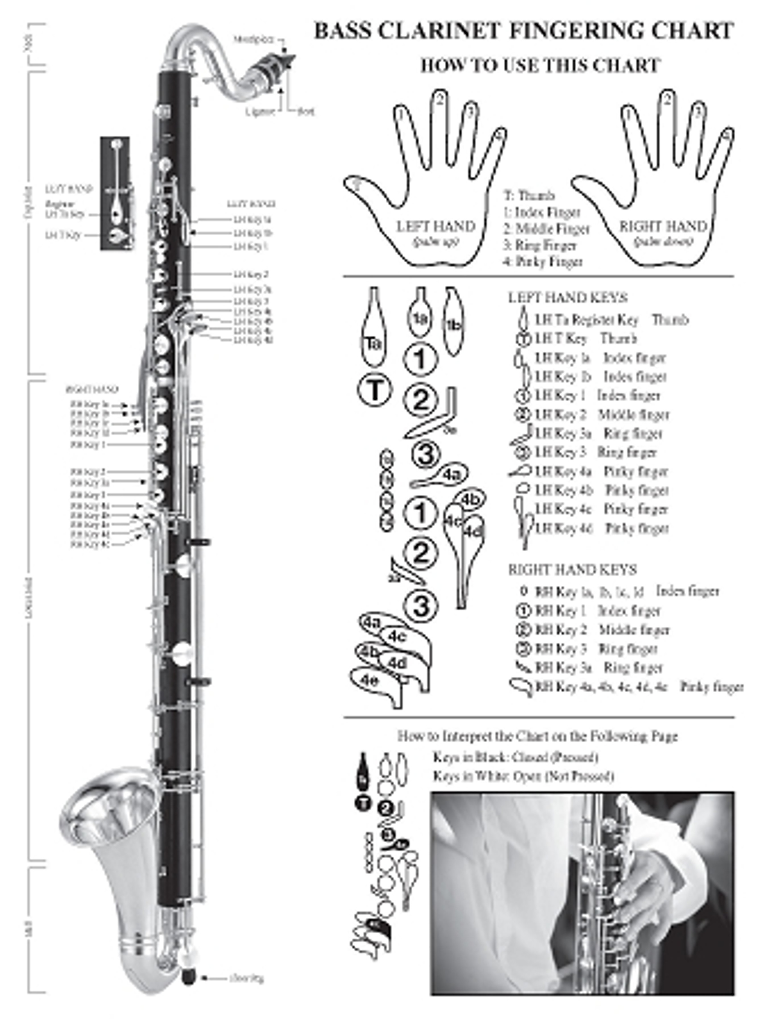 free-15-sample-clarinet-fingering-chart-templates-in-pdf