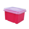 Storage Box Italplast 32 Litre I307 Fruit Watermelon Red with Clear Lid