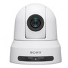 Sony SRG-X120W IP 12x White Camera