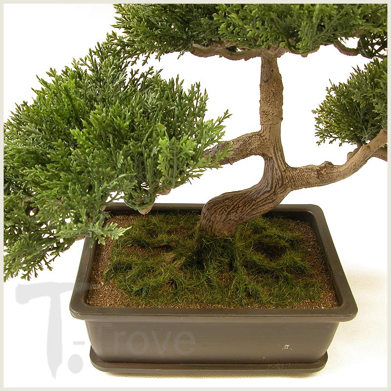Artificial Japanese Cedar Bonsai Tree - 9 inch tall