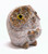 Granite Red Owl with Heart 9cm