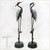 Wetland Herons Pair