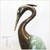 Wetland Herons Pair