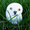 Granite White Snowy Owl on Grass