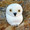 Granite White Snowy Owl on the Rock