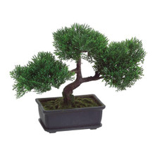 Artificial Japanese Cedar Bonsai Tree - 9 inch tall