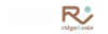 DSG