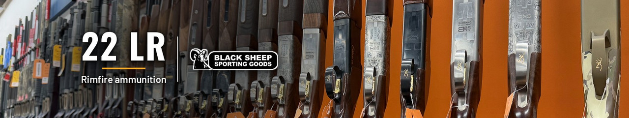 22 LR