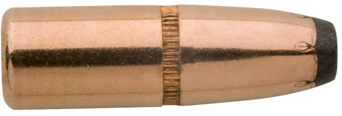 2010 .30 CAL 170 GR Pro-Hunter 30 CAL 170 GR FN -2-210000101784