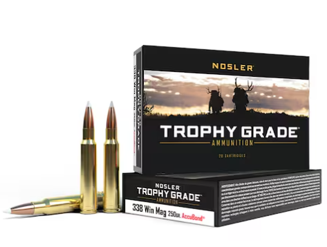 Nosler TGA-338 Win Mag 250g AB SP-054041600866