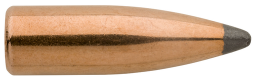 2410 8MM 175 GR Pro-Hunter 8MM 175 GR SPT -26-210000101792