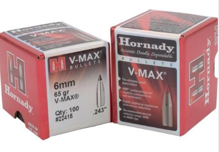 22415 6MM .243 65 GR V-MAX® -26-090255275018