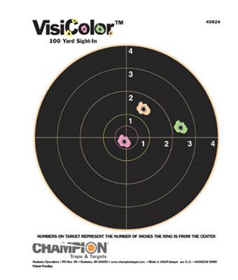 Champion VisiColor Hanging Tgt 8" 10pk 45824-076683458247