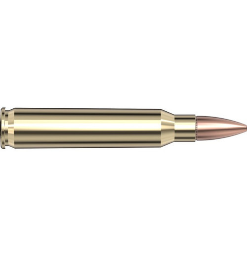 Hornady 5.56 NATO 62 gr FMJ Hornady BLACK - 20 Rounds