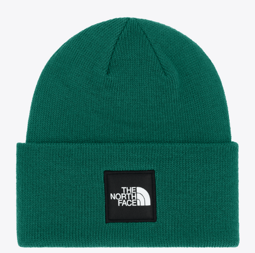 NF0A85CWNL1 Big Box Beanie Evergreen F-26-197064986217