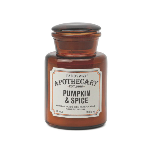 Paddywax Pumpkin + Spice - Apothecary 8 oz Candle
