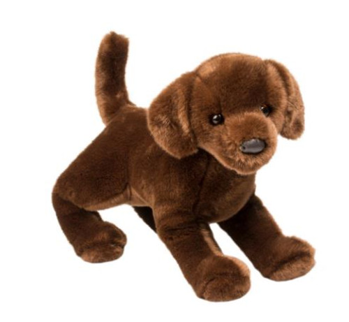 COCOA CHOCOLATE LAB -26-767548105832