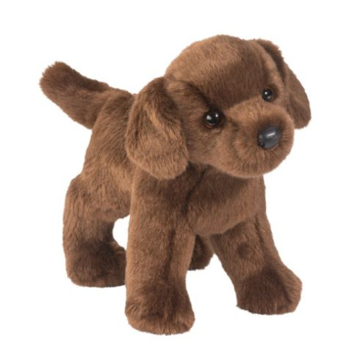 TUCKER CHOCOLATE LAB -26-767548130414