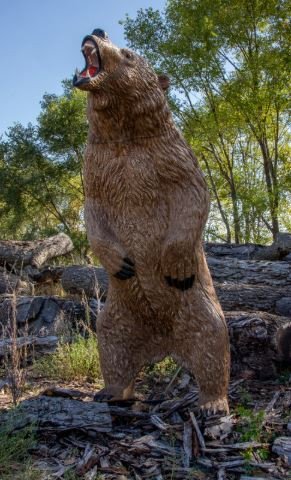 Kodiak Grizzly IBO 34411-853595344116