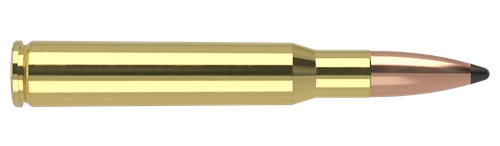 Nosler TGA-30-06 Sprg 180g PT SP (20ct)
