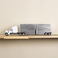 M&F Western Peterbilt/Bull Haulr