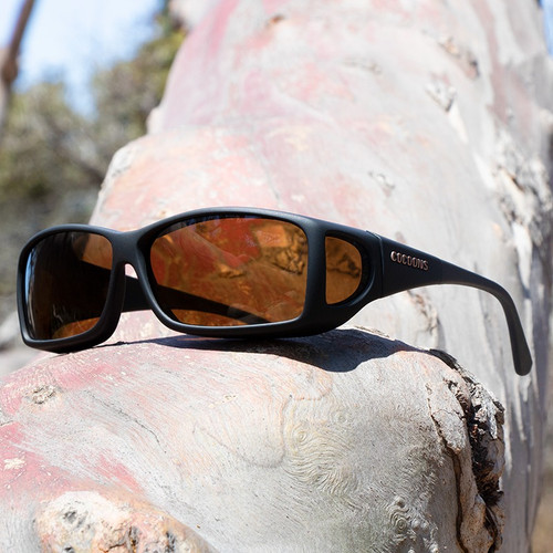 Cocoons Wide Line ML Black Polarized Amber