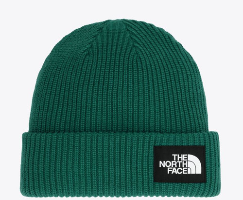 Salty Lined Beanie Evergreen-197803996996