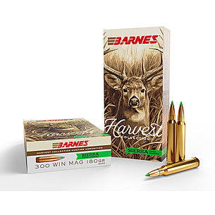 300 Win Mag 180 GR 32405-716876500093