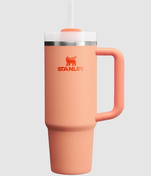 30 oz Nectarine The Quencher H2.O FlowSt-041604394621