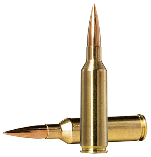 NORMA DPGTM 6.5PRC 143GR HPBT 10166462-7393923325460