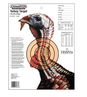 Champion Targets Turkey Hanging Paper 14"x18"-076683457806