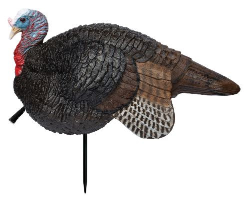 Lil Gobstopper Jake-010135690748