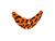 Smile Blade 1.1 Org Blk Tgr-25-210000065166