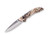 BUCK 364 RIVAL I W/BANTAM HANDLE 0364BO2-B-033753172946