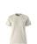 Women's Evolution Box NSE Relaxed Short-Sleeve Tee