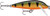 Countdown 07 Rainbow Tro