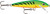 Original Floater 07 Rainb