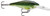 Shad Rap 07 Perch