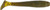 Rage Swimmer 3 3/4" Green Pumpkin