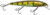 Elite 300 Deep Jerkbait Pro Bl