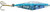 BB3L-HOLOBLU 3 Light Holograph