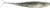 Jerk Shadz 3.5" Bad Shad 5 Pa